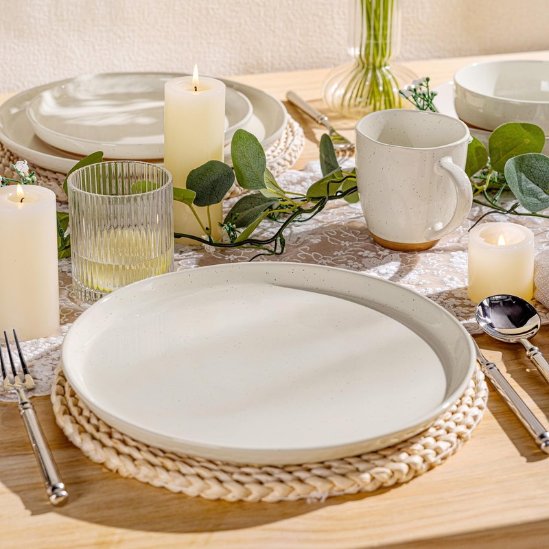 AmorArc Ceramic Dinner Plates Set of 2, 10.5 Inch Large