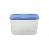 Tupperware Fridge Clear Mates 460ml Clear Blue Fresh Tower Can