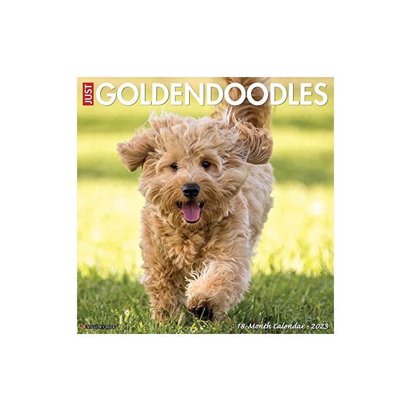 Just Goldendoodles 2023 Wall Calendar