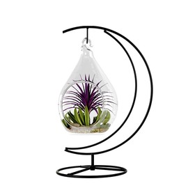 CXLE Ornament Display Stand, Ornament Stand Holder Iron Pothook Stand for Hanging Glass Globe Air Plant Terrarium, Witch Ball, Christmas Ornament and Home Wedding Decoration