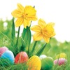 20 Napkins Easter Eggs on Yellow Daffodils Natural Flowers Spring Easter Easter Motif Easter Decoration Table Decoration 33 x 33 cm
