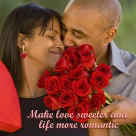 Red Heart Earrings for Women Sparkly Rhinestone Heart Earrings Valentines Day Earrings Love Heart Earrings Valentines Day Gifts for Wife Girlfriend