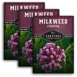 Common Milkweed Seeds for Planting - 3 Packs with Instructions Grow Asclepias Syriaca Wildflowers - Attract Monarch Butterflies & Help Conservation Non-GMO Heirloom Variety - Survival Garden Seeds