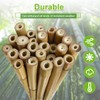Jollybower 10pcs 1" D Thicker Heavy Duty Bamboo Stakes, 8FT