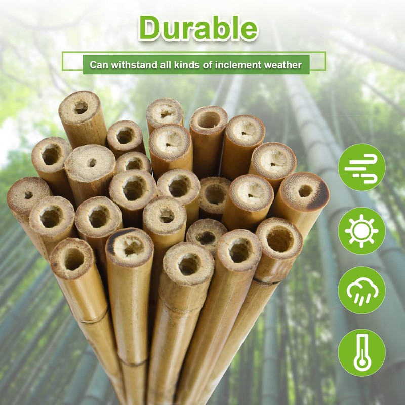 Jollybower 10pcs 1" D Thicker Heavy Duty Bamboo Stakes, 8FT