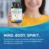Trio Mood Joy | Premium 5-HTP, St Johns Wort, Ashwagandha