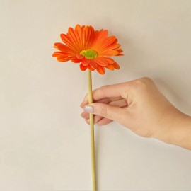 Cutefornia Artificial Real Touch Gerbera Barberton Daisy Stems (Set of 6) - Orange