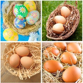 LRESJJIUJ A Fake Egg Simulation, Elastic Solid Trickster, Prank, Whole Person Toy, Magic Prop, Easter Home Decoration