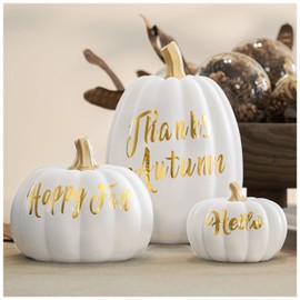 DN DECONATION 3 Pcs Fall Pumpkin Decorations, Faux Artificial White Pumpkin with Gold Words, Decorative Resin Pumpkins Figurines for Autumn Thanksgiving Modern/Neutral/Farmhouse/Indoor Home Decor