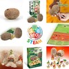 Science4you - Starter Kit di Uova di Dinosauro - Kit
