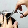 Stainless Steel Beauty Hair Thinning Shears Thinning Shears 2ea