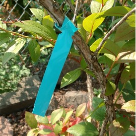 1000 Wrap Around Tree Labels 9" x 1" Thermal Plastic Tree Tags Plant Labels, Printable by Dmarketline (Blue)