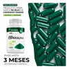 Alga Espirulina 100 Pura Rica En Nutrientes Y Antioxidantes