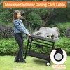 Dining Cart,Outdoor Grill Cart with Double-Shelf,with 4 Hooks, Side Handle,Wheels,Cooking