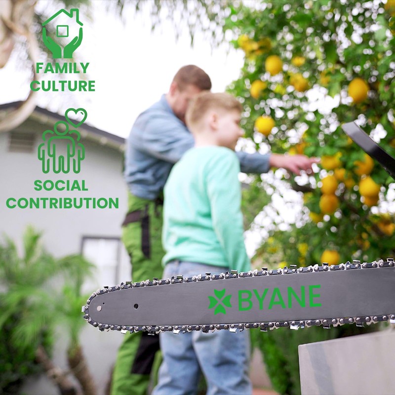 BYANE 18 Inch Chainsaw Chain, 325" Pitch, 063" Gauge, 68