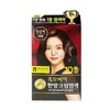 Dark Brown Gray Hair Dye Cream for Self-Dyeing (3 Applications) Cosmetic