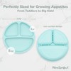 WeeSprout Silicone Plates for Babies & Toddlers (3 Pack) 100%