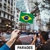 G128 12 Pack Handheld Brazil Brazilian Stick Flags | 4x6