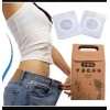 Parches Abdomen Adelgazar Reductivo Pzas Neutra