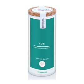 Meadow sweet extract pure 600 mg daily (Filipendula ulmaria 10:1), 290 vegan capsules, high-dose premium dietary supplement from the wish capsule manufacturer