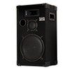 Acoustic Audio by Goldwood CR12 PA Karaoke DJ 12" Speaker