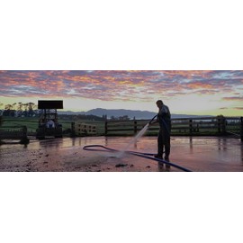 BluBird BLBBSAL58100 Water Hose, 5/8" x 100', Blue