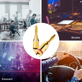 Lyaciomn 10 Pairs Banana Plugs - Open Screw Type for Speaker Wire, Home Theater, Wall Plates and More