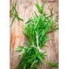 KIRA SEEDS - Seeds French Tarragon Medicinal - Estragon -