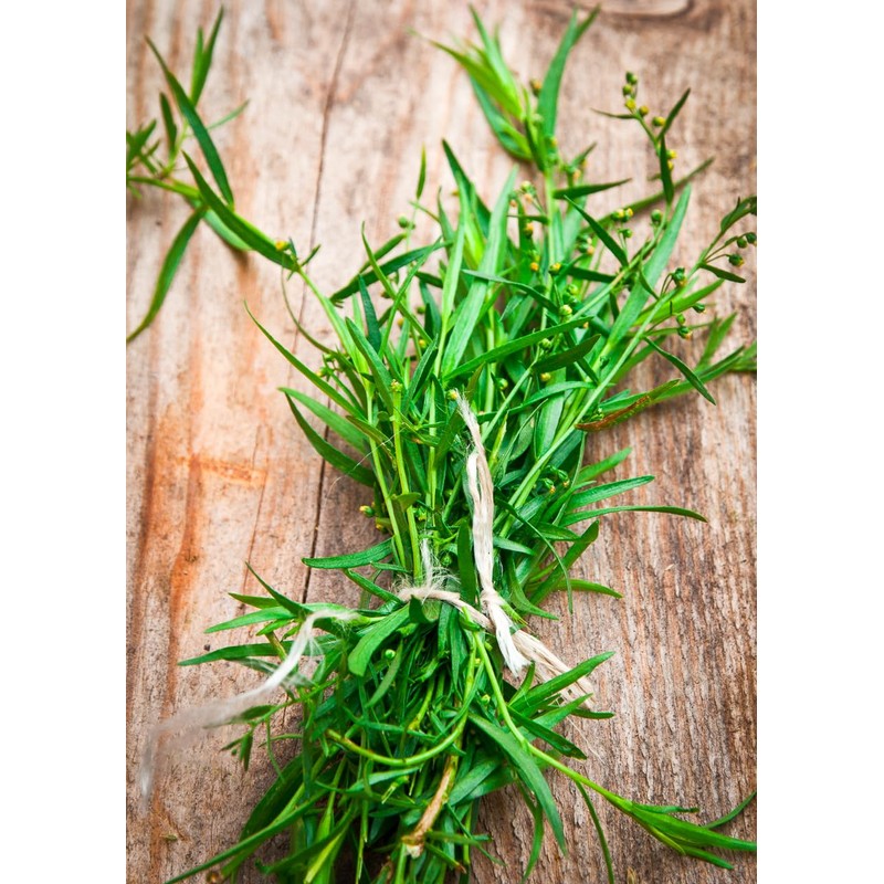 KIRA SEEDS - Seeds French Tarragon Medicinal - Estragon -