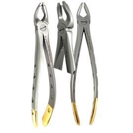 2pcs German Premium Dental Extracting Forceps F1 Upper Universal with Gold Handle Cynamed