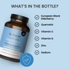 The Wellness Company Daily Immunity Gummies – Delicious Immune Boost