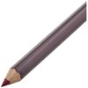 Wet n Wild, Color Icon Lipliner Pencil, Lip Pencil with