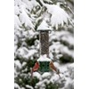 Squirrel Buster Plus Squirrel-proof Bird Feeder w/Cardinal Ring and 6