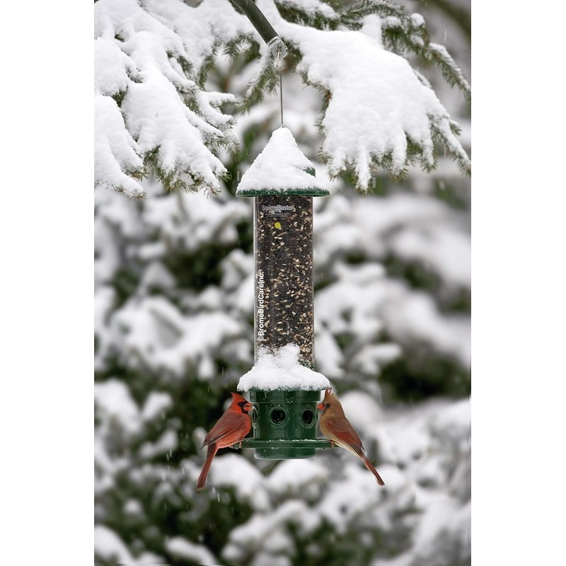 Squirrel Buster Plus Squirrel-proof Bird Feeder w/Cardinal Ring and 6