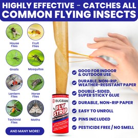 Fly Strips Indoor Sticky Hanging 10pk with Pins. Non Toxic Outdoor Fly Trap Indoor for Home. Flies Tape Paper Trap Ribbon Roll for House Gnat Fruit and Housefly. Bug Catchers for Inside Home Flypaper