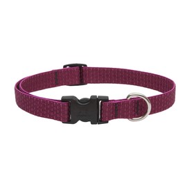 Lupine Large Dog Collar ECO Collection 3/4" Wide Berry adjusts from 15" to 25"