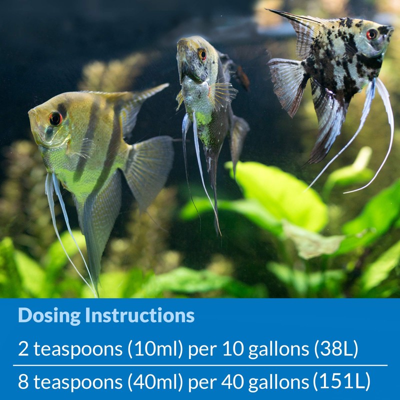 API QUICK START Freshwater and Saltwater Aquarium Nitrifying Bacteria 4-Ounce