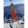 Take's ANTAIKASUWA TG Sea Bream Lava Lure (2.8 oz (80