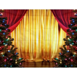 GYA Golden Red Curtain Party Backdrop 8x6ft Family Holiday Celebration Red Background with Floor Magic Show Carnival Singing Birthday Party Backdrop Photo Booth Props
