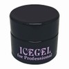 ICE GEL ABLACK Embossed Silk Gel S173 3g