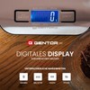 Digital Kitchen Scales 10 kg - High Precision Measurement up