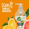 Seventh Generation Liquid Hand Soap, Mandarin Orange & Grapefruit, Gentle