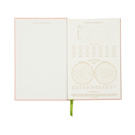 DesignWorks Ink 5.75" x 8.5" Bound Vintage Sass Notebook Journal with 240 Lined Pages and Ribbon Marker, Froget About It Green Frog on Blush Pink