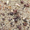 Worldly Cuisines Bird Food Appetizer
