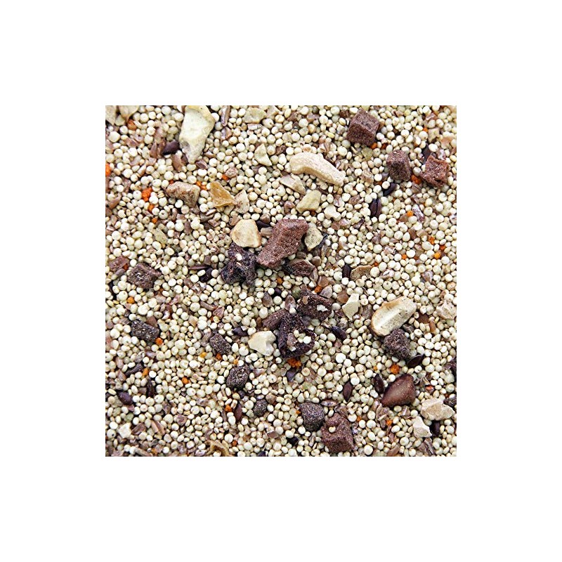 Worldly Cuisines Bird Food Appetizer