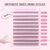 Parriparri Cluster Lashes 200 Pcs Individual Lashes 20D D Curl