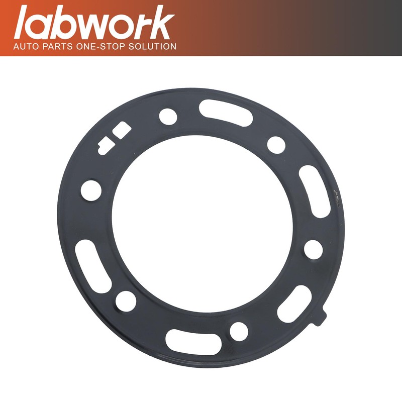 labwork Top End Kit Piston Gaskets Replacement for Polaris Scrambler