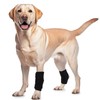 ROZKITCH Dog Leg Protector for Rear Hock Joint or Front