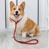 SEPXUFORE 3FT Slip Lead Dog Leash, 1/2 inch Rope Dog