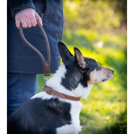 Jack & Russell Leash 'Bear' Short, 30 cm, 1.2 cm Diameter, Dark Brown, Leather Dog Lead